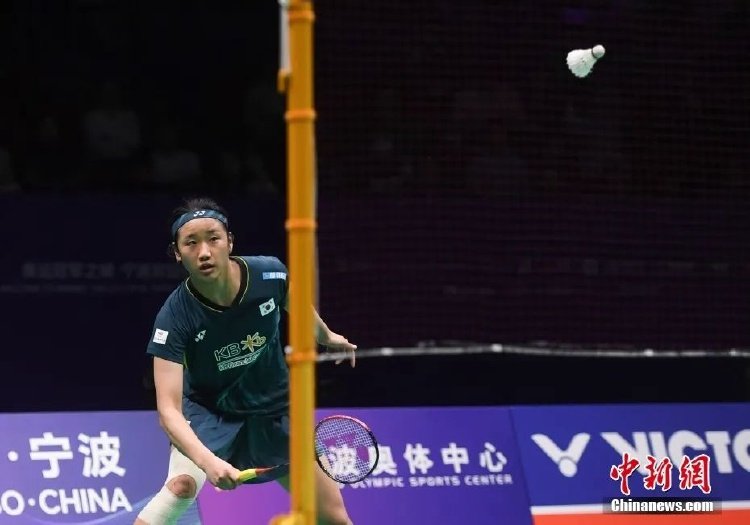 当地的篮球 当地的篮球