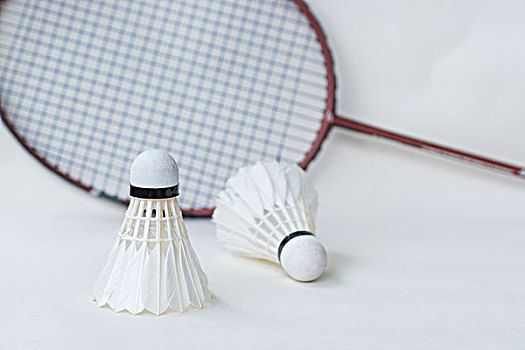 不定的赛季 不定的赛季