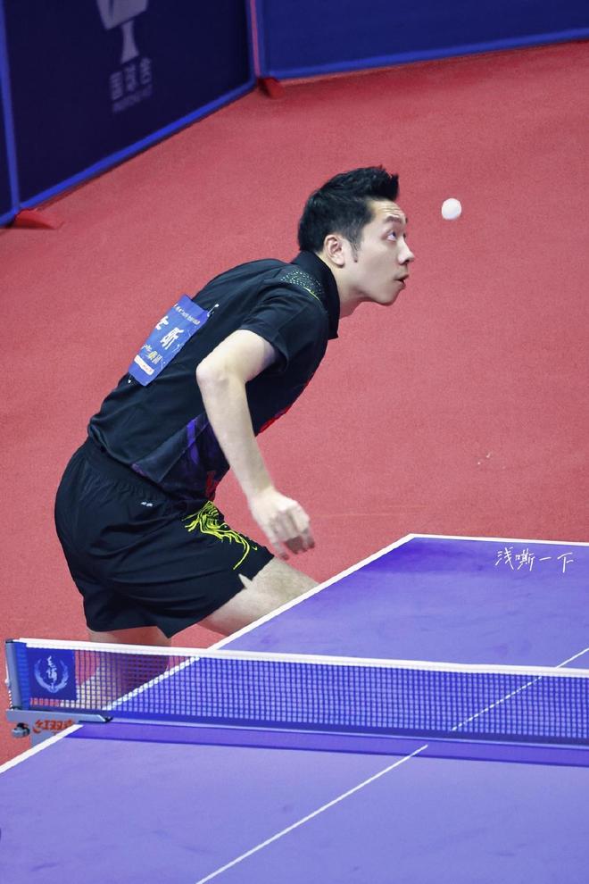 鲜明对比 鲜明对比